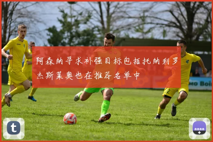 阿森纳寻求补强目标包括托纳利罗杰斯莱奥也在推荐名单中