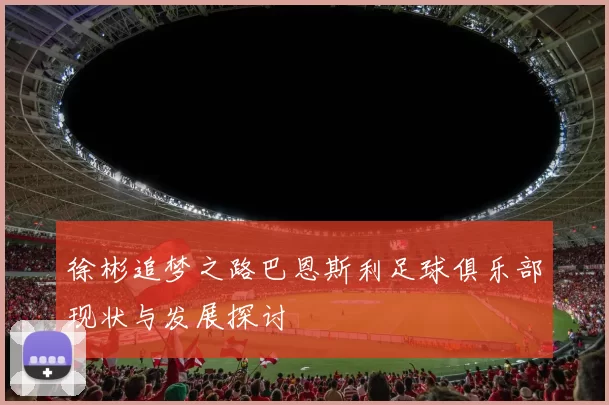 徐彬追梦之路巴恩斯利足球俱乐部现状与发展探讨