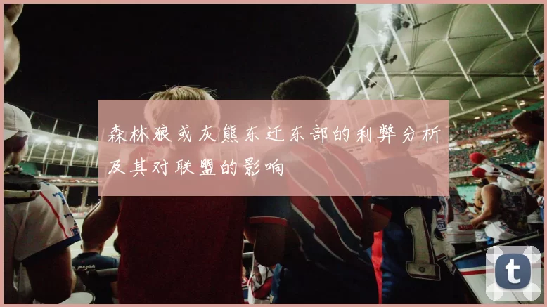 森林狼或灰熊东迁东部的利弊分析及其对联盟的影响